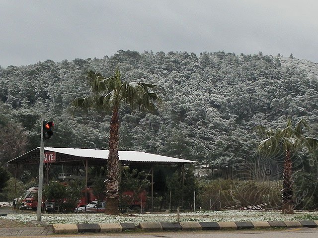 12-02-29-S-Kemer-19-s.jpg - Schnee auf den Palmen an der Kemeraner Feuerwache