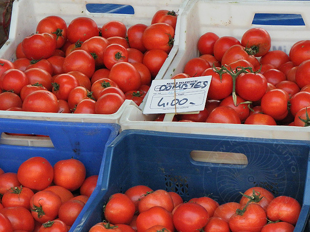 10-10-25-Kemer-Markt-07-s.jpg - aber die Tomatenpreise sind in diesem Jahr stark gestiegen.