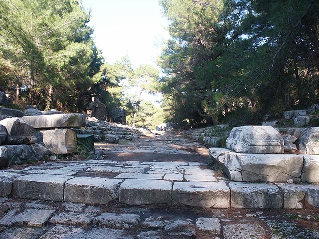 28-Phaselis-04-12-25-107-s.jpg - Blick auf den südlichen Teil der Hauptstraße. Hier stand einmal ein prächtiges Tor, angeblich dem Gedenken eines Besuches des Kaisers Hadrian um 130 n. Chr. in Phaselis gewidmet