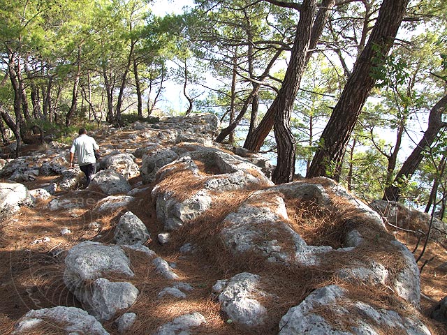 8-11-14-Phaselis-Bucht-052-s.jpg - Weitere Steingräber in der Nordnekropole