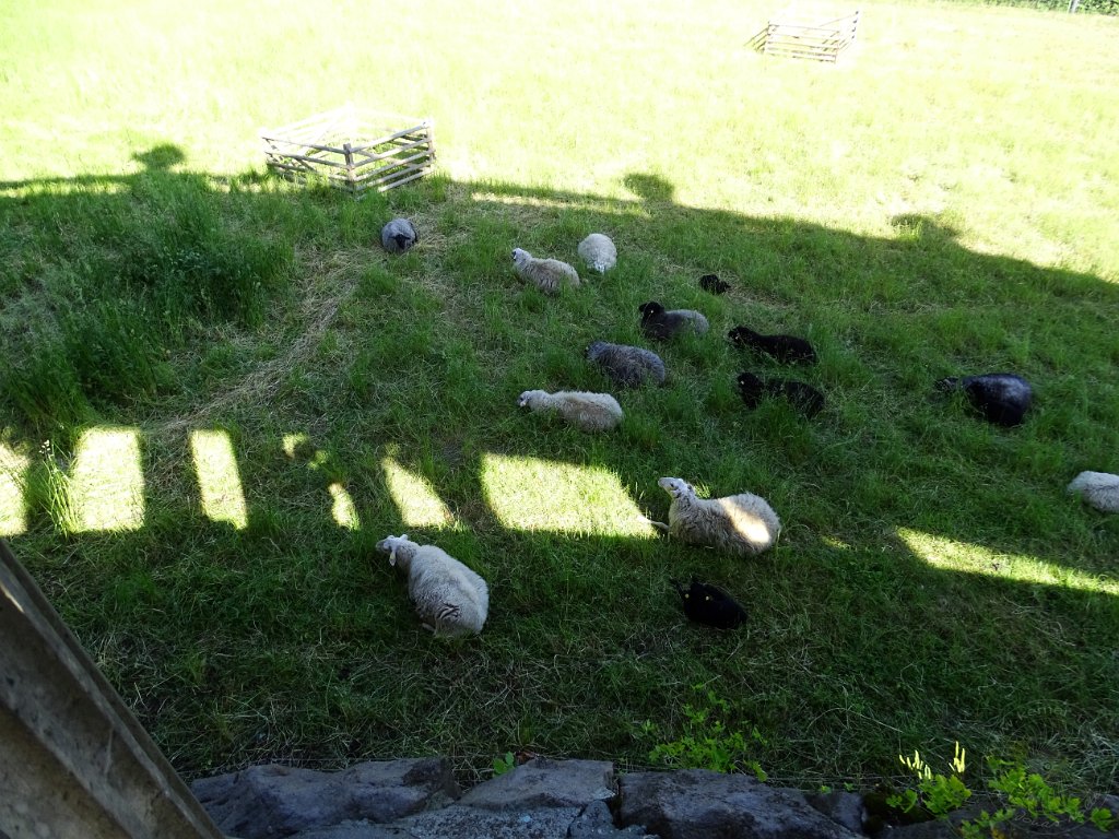 20-06-03-Sanssouci-017.JPG -                                